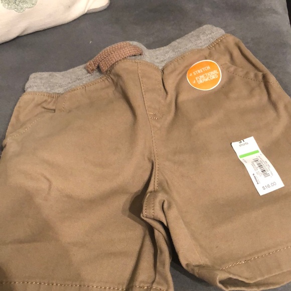 Shorts - Picture 2 of 2